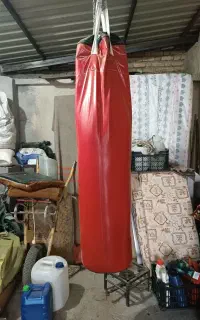 ورزش رزمی