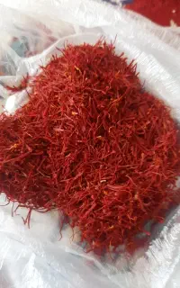 سرگل خراسان