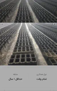 بلوک زن ماهر
