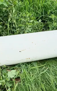 کپسول سی ان جی نیسان قیمت ده ملیون