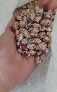 چیتی سراب ۳۰۰۰۰۰