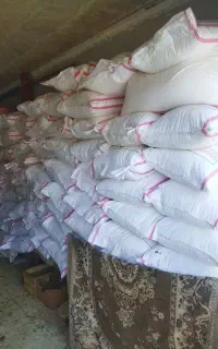 فروش فوری 100عدد کود 2600مقطوع