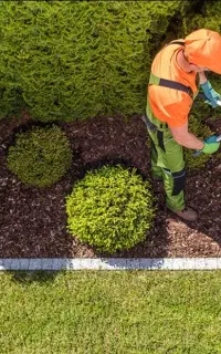 باغبانی وهرس درختان ، کاشت گل های فصلی