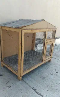 قفس