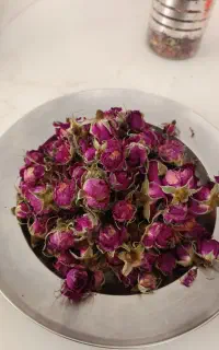 گل محمدی استان اردبیل