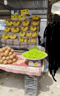 غرفه میوه فروشی