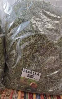 یونجه ساقه نازک و پوشال