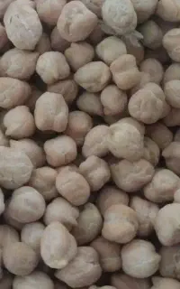 نخود درجه یک منی ۱،۲۰۰،۰۰۰