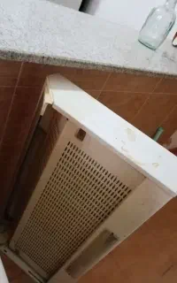 هود