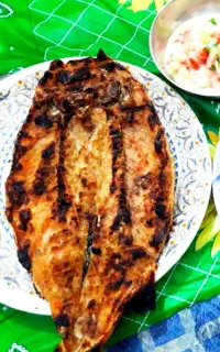 ماهی تازه سپیدشت