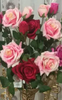 پنج شاخه گل خارجی هرشاخه ۸۰۰تومن