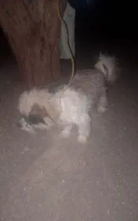 قیمت 25000000