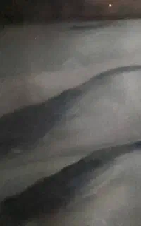 کوسه ماهی