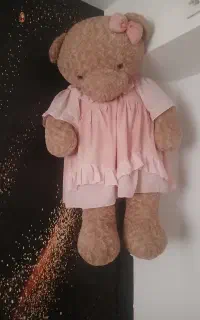 شاسخین سالم