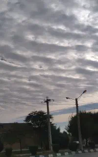 مربی اموزش رانندگی