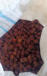 آلو خشک  تازه وخوشمزه