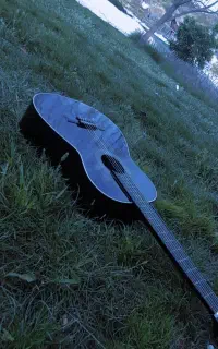 گیتار  خش رنگ رنگ مشکی