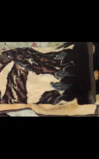 ۳عدد پتو نو