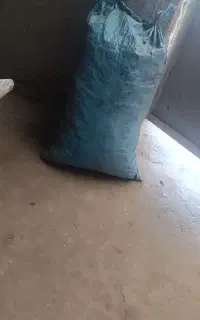 ذغال