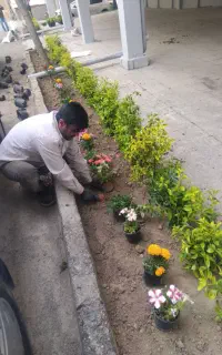 باغبانی وهرسکاری کوددهی بیل زنی مهر فاکتور ضمانت