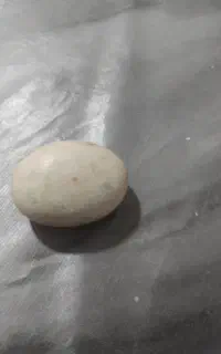 سنگ اسیاب