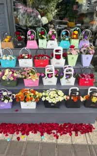 فروشنده بازنشسته شب کار در گلفروشی