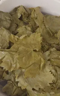 برگ دلمه تازه