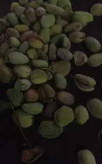 باسلام بادام شیرین رسیده برای خشک کردن