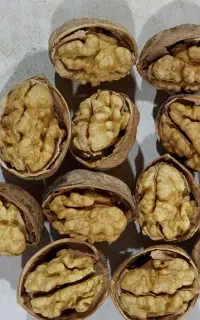 جویای نیروی کار