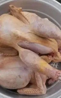 پاک کردن و پرکندن مرغ سبزی وباقالی ولوبیاو نخودشما