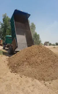 کودمرغی زل