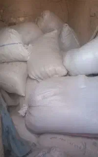 کاه گندم