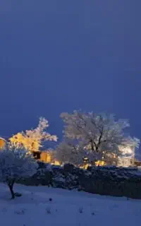 خشکشویی فانوس(شهرک ولی عصر)