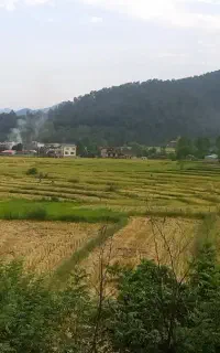 تامین ونگهداری باغ وباغچه ویلا