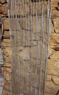 راویز