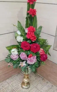 دعانویس و سرکتاب