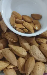 بادام خشک امسال