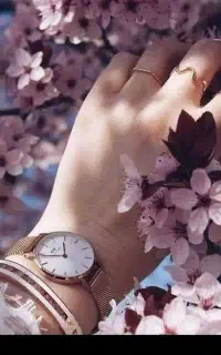 طلا