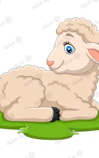 نیازمند کارگر در گوسفند داری