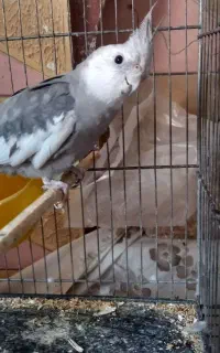 سلام امروز گمشده