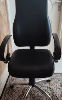 صندلی چرخدار گردون