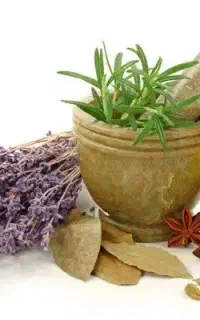 کارآفرینی در منزل