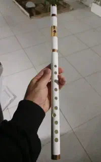 نای فلوت عربی