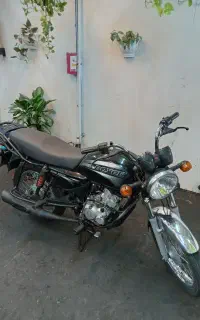 باکسر اصلی سالم
