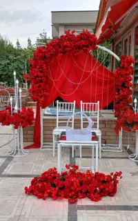 دنیای بله برون