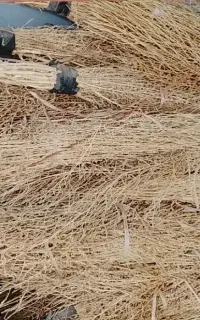 گسک. جارو دستی خانگی