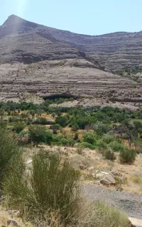 احیای باغ با بهترین و سازگارترین محصول
