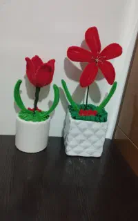 کادو روز دختر گل جاودان