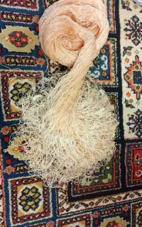 تور  ماهیگیری سالی