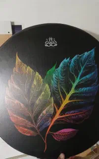 دف شاهو نقد و اقساط
